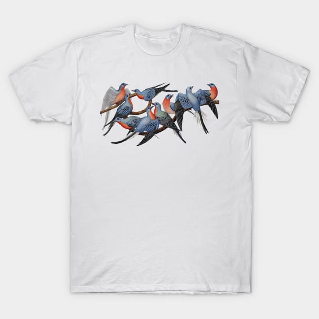 Passenger Pigeons T-Shirt by JadaFitch